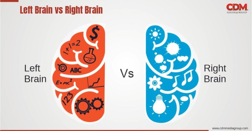 Left brain vs right brain